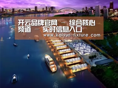 案例展示八